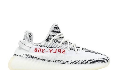 V2 Zebra