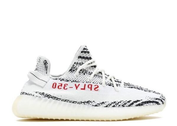 V2 Zebra