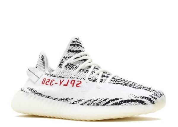 V2 Zebra