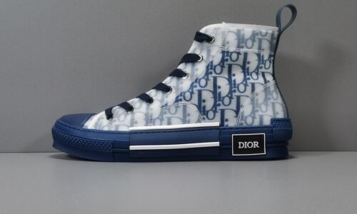 Blue Dior Oblique Canvas B23