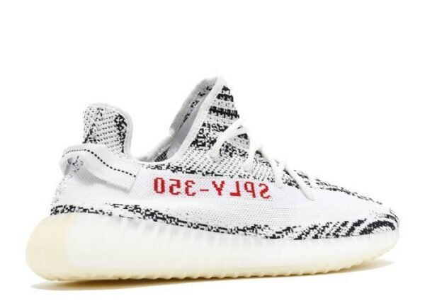 V2 Zebra