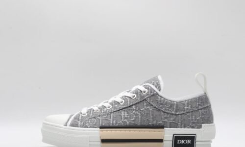 Dior B23 Low Grey