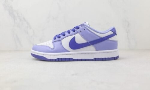 Nike Dunk Low GS “Blueberry”