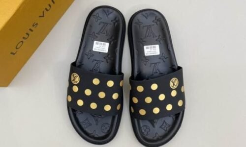 LV Slides