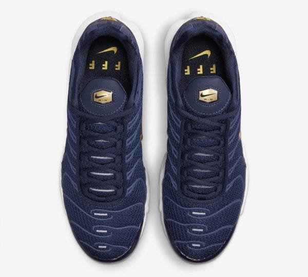 Nike Air Max Plus “French Football Federation”