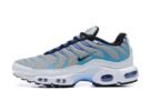 Nike Air Max Plus GS Grey