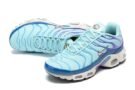 Nike Air Max Plus GS Blue