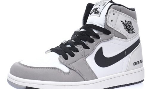 Nike Air Jordan 1 Retro High OG"Gore-Tex Light Bone"