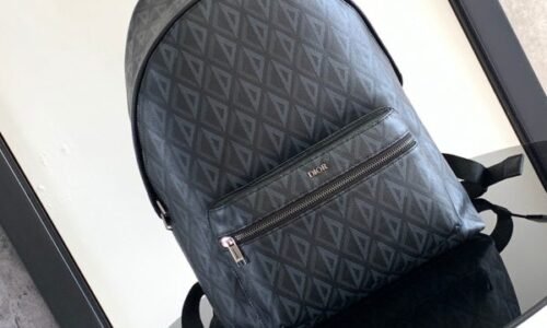 Dior Backpack