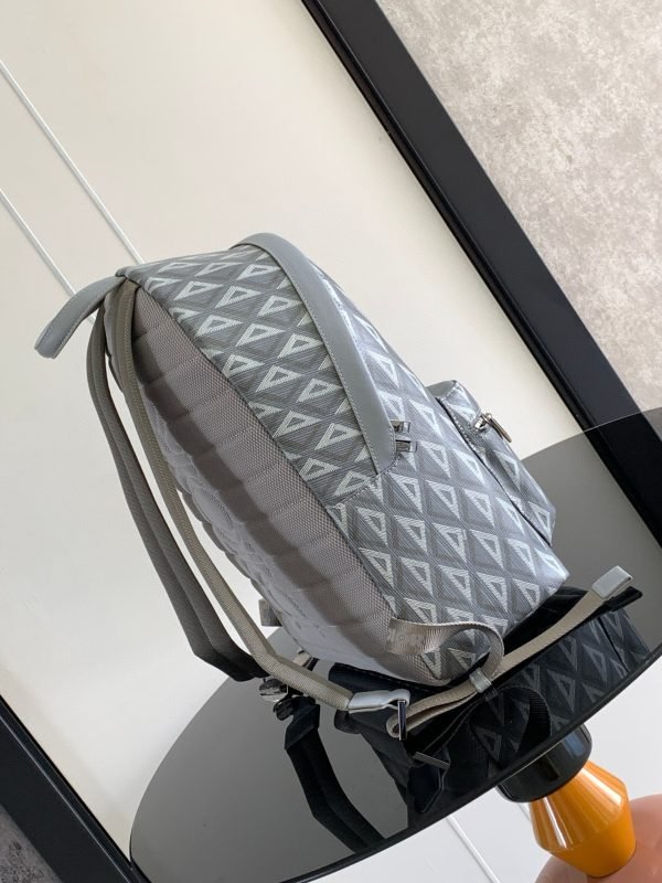 Dior Backpack