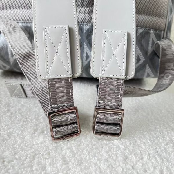 Dior Backpack