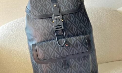 Dior Backpack