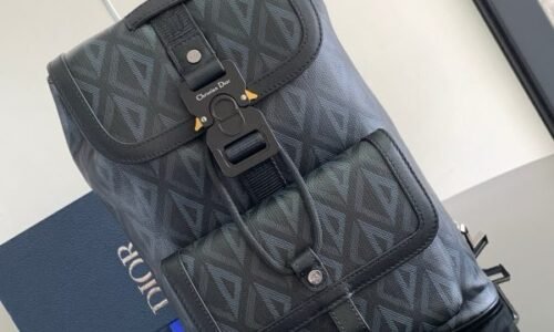 Dior Backpack