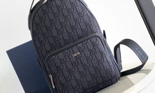 Dior Backpack