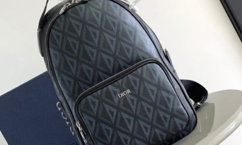 Dior Backpack