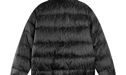 Dior-CoatsDown-Jackets-9999928543_00_800x800.webp